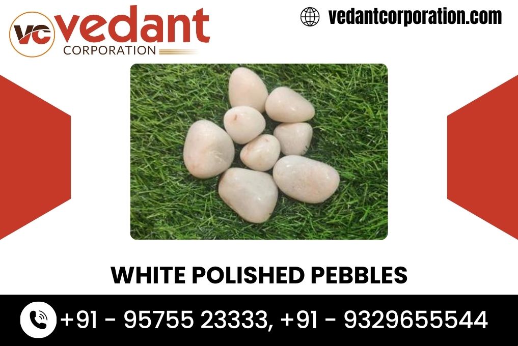 White Polished Pebbles Traders in MP