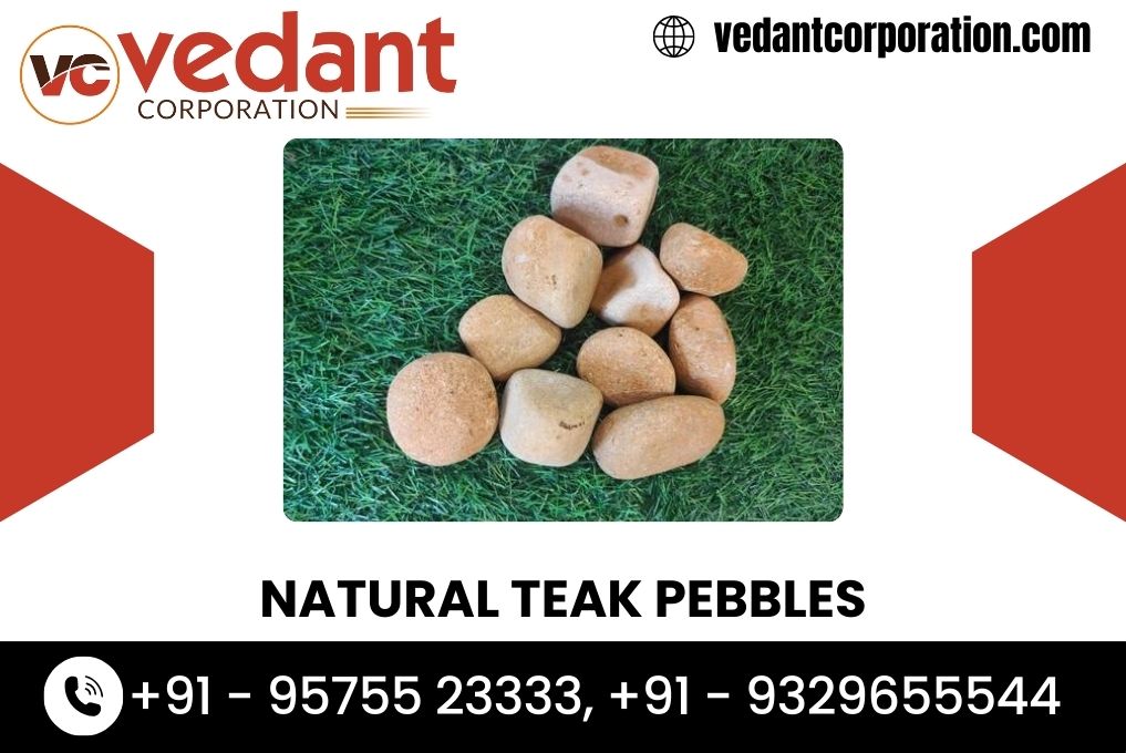 Natural Teak Pebbles Distributor In MP