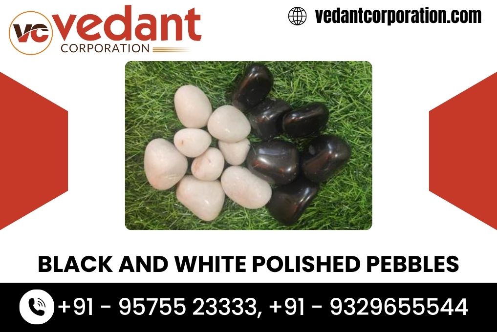 Black and White Polished Pebbles Wholesaler in MP